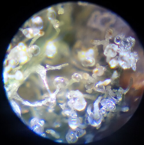 Growreport Bild 12