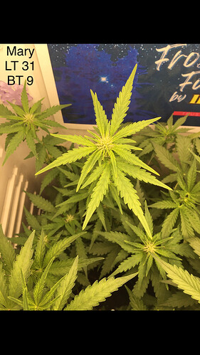 Growreport Bild 17