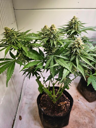 Growreport Bild 17
