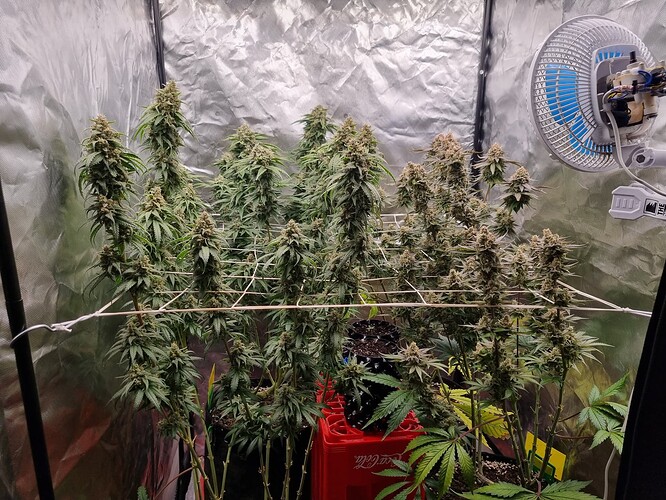 Growreport Bild 22
