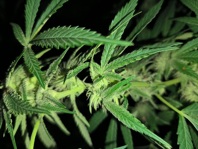 Growreport Bild 22