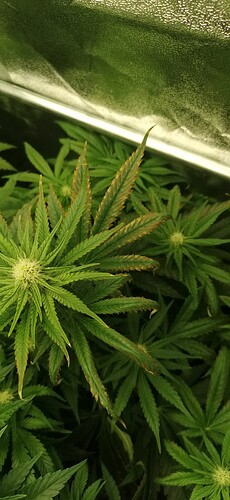 Growreport Bild 16