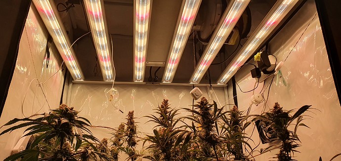 Growreport Bild 23