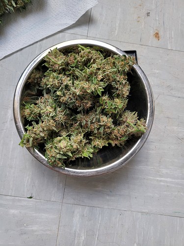 Growreport Bild 8