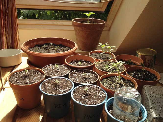 Gruppenbild_allesgut