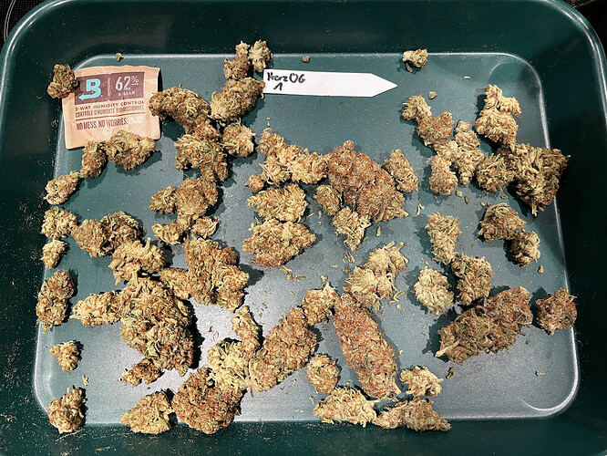 Growreport Bild 5