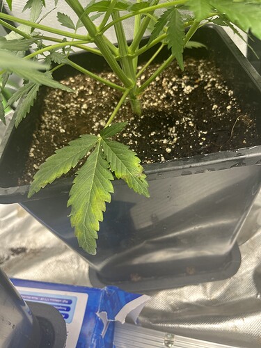 Growreport Bild 18
