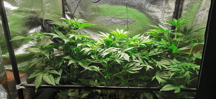 Growreport Bild 15