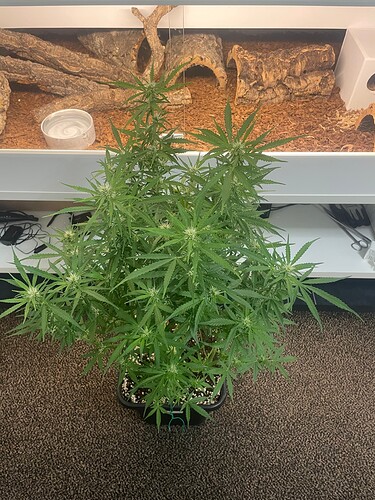 Growreport Bild 14