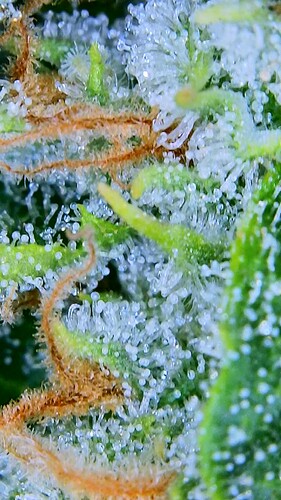 2023_01_13_11_57_37_407