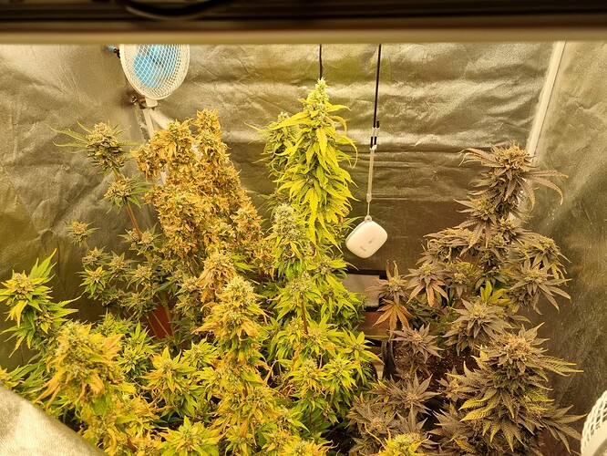 Growreport Bild 22