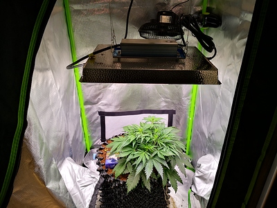 Growreport Bild 12