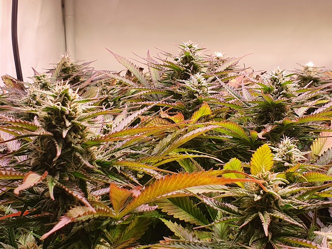 Growreport Bild 14