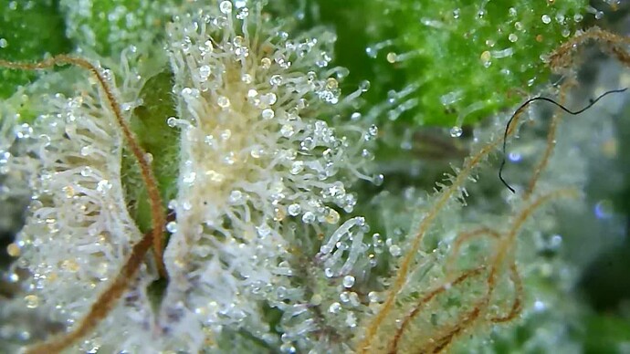Growreport Bild 10