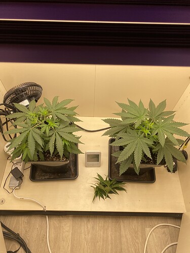 Growreport Bild 13