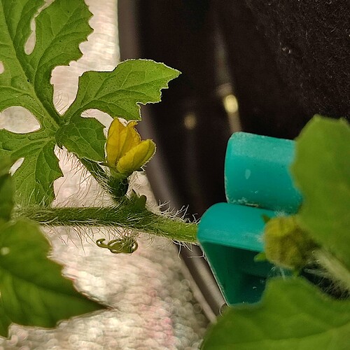 Growreport Bild 56