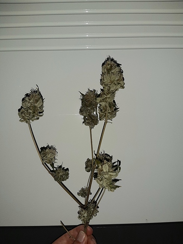 Growreport Bild 8