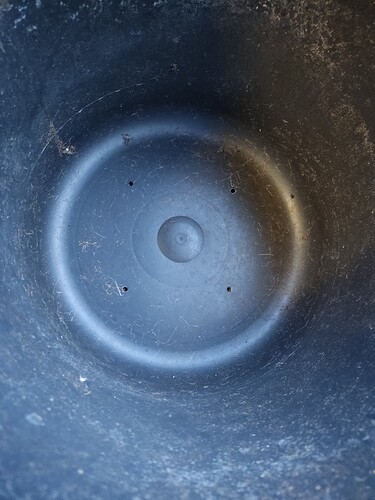 Growreport Bild 6