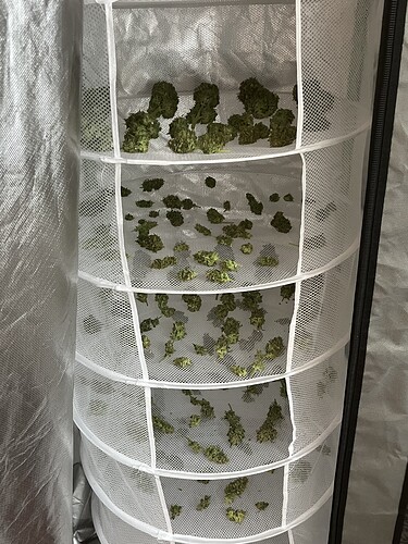 Growreport Bild 20