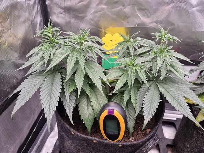 Growreport Bild 20