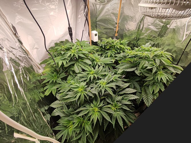 VT-45 (BT4 seit Umstellung)