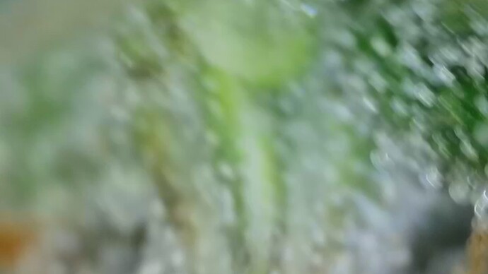 Growreport Bild 41