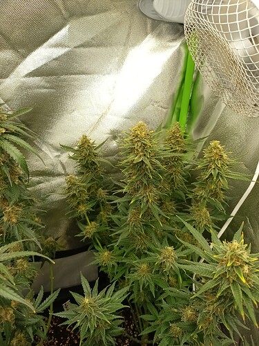 Growreport Bild 14
