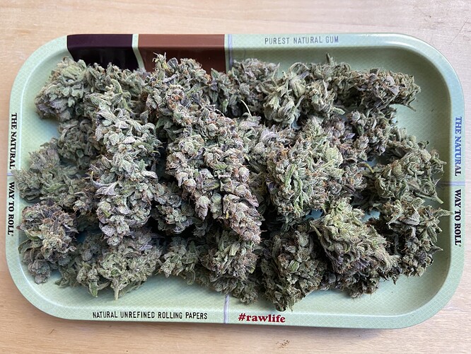 Growreport Bild 2