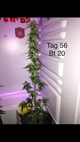 Growreport Bild 9