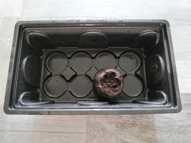 Growreport Bild 7