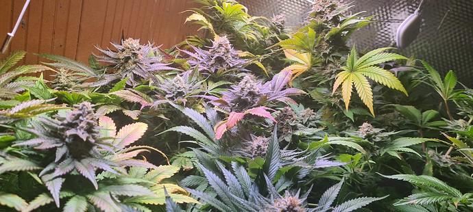 Growreport Bild 23