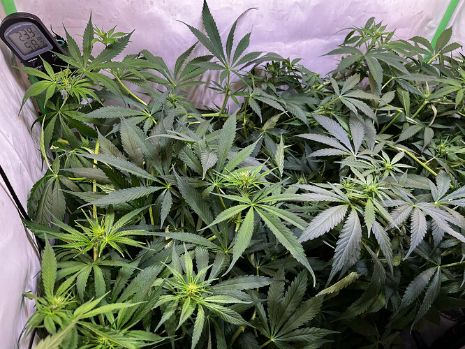 Growreport Bild 12