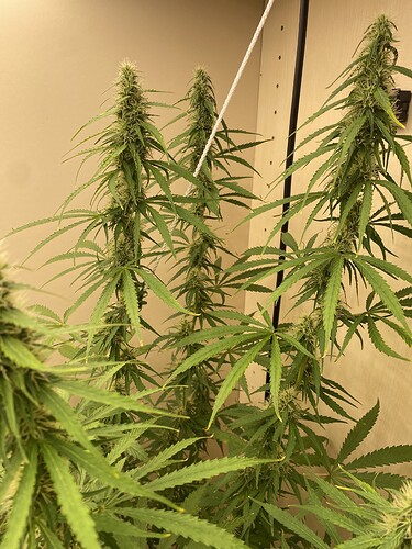 Growreport Bild 15