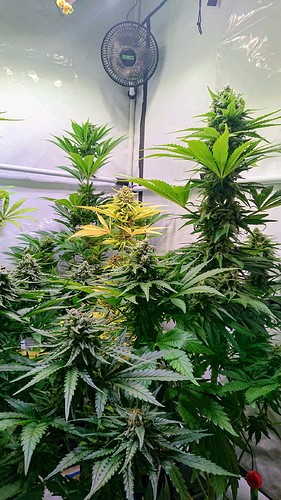 Growreport Bild 21