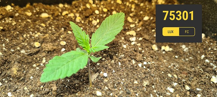 Growreport Bild 12