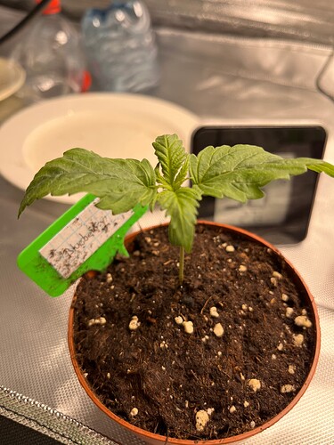 Growreport Bild 8