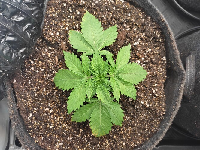 Growreport Bild 22
