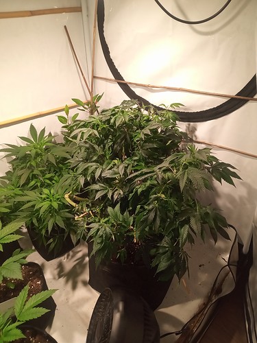 IMG_20210314_221608_875