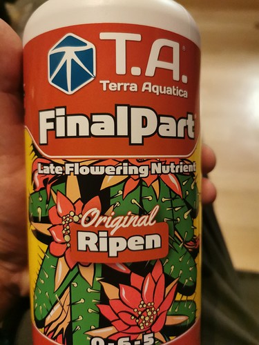 1637949861290405250376031327222