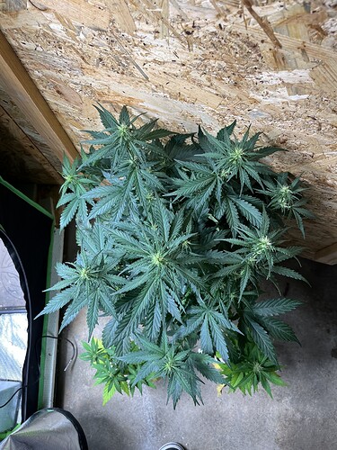 Growreport Bild 16