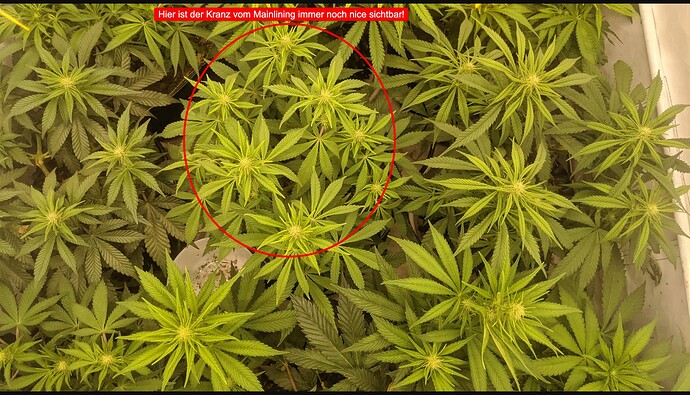 3-IMG_20231221_092700_898-jpg-4032×2268-