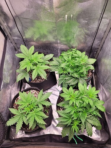 Growreport Bild 6