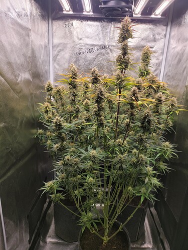 Growreport Bild 4