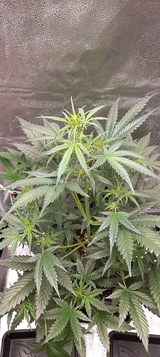 Growreport Bild 5