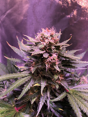 Growreport Bild 18