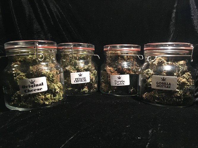 Growreport Bild 1