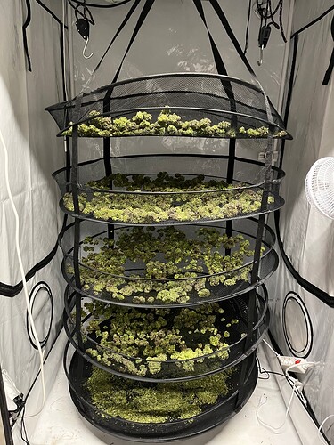 Growreport Bild 7