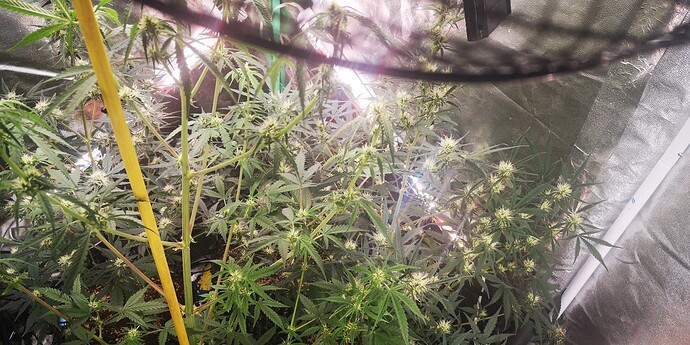 Growreport Bild 17
