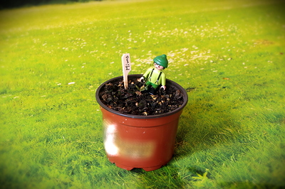Growreport Bild 12