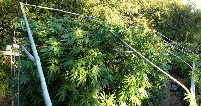 Growreport Bild 13
